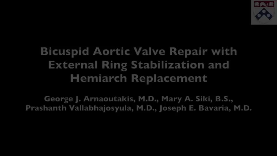 BAV Repair with External Ring Stabilization and Hemiarch replacement