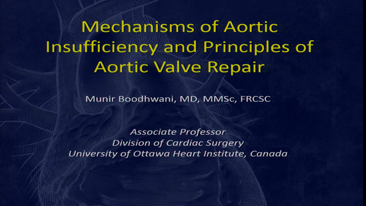 009 Structual Mechanisms of Aortic Insufficiency and Surgical Approach ...